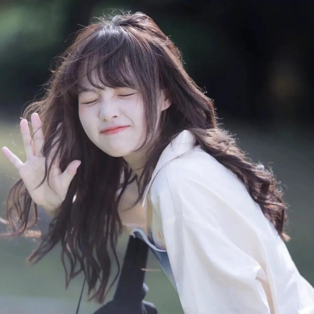 黄飞鸿之铁血十三姨